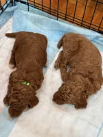 processed/b2e92e5d-893b-4012-9bd7-09aaf517890d/facility/b6826ab9-81de-49a4-9bbf-ff8747479c22