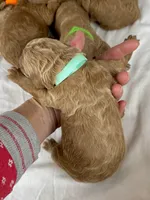 processed/b2e92e5d-893b-4012-9bd7-09aaf517890d/listing/cc5f20cf-2d05-48ac-a53f-910f09657714/5f496a6e-4419-40ba-8758-3e009528e542