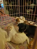 processed/b2fb206c-6c75-4f81-99fe-4ea4f527fcd9/facility/26046305-ddd8-4a80-97d1-a20c3e9d6a73