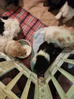 processed/b2fb206c-6c75-4f81-99fe-4ea4f527fcd9/facility/5223b71d-15d1-4bbf-a97b-893e23780a8f