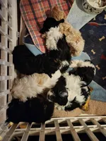 processed/b2fb206c-6c75-4f81-99fe-4ea4f527fcd9/facility/57e73998-c77f-44a3-812a-7cf8be635f96