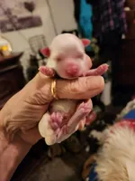 processed/b2fb206c-6c75-4f81-99fe-4ea4f527fcd9/listing/a398af67-3c1b-4b00-adf6-c46a724d1860/1d422ecd-1142-450a-85e3-bd8c259e45b1