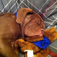 processed/b31dc5c3-e11a-43a0-b760-74c983a01e98/facility/099c70d6-454c-4a52-9dcb-bd7380ae4851