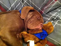 processed/b31dc5c3-e11a-43a0-b760-74c983a01e98/facility/099c70d6-454c-4a52-9dcb-bd7380ae4851