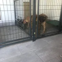 processed/b31dc5c3-e11a-43a0-b760-74c983a01e98/facility/2ce4daed-e3d9-4835-a1fa-4789bb998386