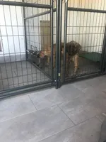 processed/b31dc5c3-e11a-43a0-b760-74c983a01e98/facility/2ce4daed-e3d9-4835-a1fa-4789bb998386