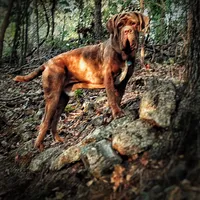 processed/b31dc5c3-e11a-43a0-b760-74c983a01e98/facility/2e017639-1815-4577-991a-4dedb4dbf384