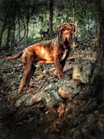 processed/b31dc5c3-e11a-43a0-b760-74c983a01e98/facility/2e017639-1815-4577-991a-4dedb4dbf384