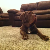 processed/b31dc5c3-e11a-43a0-b760-74c983a01e98/facility/5e56c1c1-db63-4f97-986c-b48ed9d42795