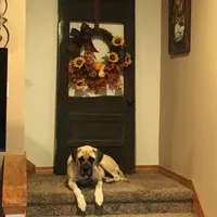 processed/b31dc5c3-e11a-43a0-b760-74c983a01e98/facility/868d517c-c657-4b22-b95a-5a0f2b4d5c59