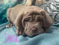 processed/b31dc5c3-e11a-43a0-b760-74c983a01e98/listing/2905a27f-85ef-4933-8bd6-6442cea7dbdc/70370b13-fa32-4c69-bfd3-1f1042a85ea7