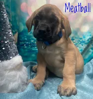 processed/b31dc5c3-e11a-43a0-b760-74c983a01e98/listing/2f42f9ee-5452-4744-816c-c07e4424e87e/344e69ac-8baa-4004-8fb6-0d0fec70a674