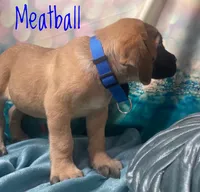 processed/b31dc5c3-e11a-43a0-b760-74c983a01e98/listing/2f42f9ee-5452-4744-816c-c07e4424e87e/45de99e2-fb59-4c24-930b-e4324a5724f9