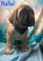 processed/b31dc5c3-e11a-43a0-b760-74c983a01e98/listing/2f42f9ee-5452-4744-816c-c07e4424e87e/540fa82d-a641-4521-b636-b8d770cb6693