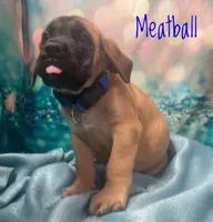 processed/b31dc5c3-e11a-43a0-b760-74c983a01e98/listing/2f42f9ee-5452-4744-816c-c07e4424e87e/bc5caf0b-df9d-438e-8678-34183066e60a