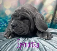 processed/b31dc5c3-e11a-43a0-b760-74c983a01e98/listing/2f7920d8-dc04-4526-b26e-e069d2233be1/1e5a4172-e1fe-479b-9039-57fe33b934f3