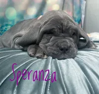 processed/b31dc5c3-e11a-43a0-b760-74c983a01e98/listing/2f7920d8-dc04-4526-b26e-e069d2233be1/acb1a7cb-c413-400b-bded-da212df57ea2