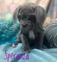 processed/b31dc5c3-e11a-43a0-b760-74c983a01e98/listing/2f7920d8-dc04-4526-b26e-e069d2233be1/f0f3f3af-9a25-4e1b-b29b-b606b96e1874