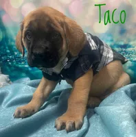 processed/b31dc5c3-e11a-43a0-b760-74c983a01e98/listing/603b44f4-a264-41e4-859d-c23a782865a3/0d5801e9-ddba-4ed7-9f10-552c30fe3155