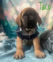 processed/b31dc5c3-e11a-43a0-b760-74c983a01e98/listing/603b44f4-a264-41e4-859d-c23a782865a3/83daf71e-355c-4aa9-80f1-dd8a310e09bf