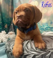 processed/b31dc5c3-e11a-43a0-b760-74c983a01e98/listing/9cdf81e9-dddc-48f6-a5e9-b48a0d72cd90/1fdcbd75-a7b6-4c02-9111-5783036a1d52