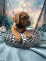 processed/b31dc5c3-e11a-43a0-b760-74c983a01e98/listing/9cdf81e9-dddc-48f6-a5e9-b48a0d72cd90/85769533-9239-440f-8dc4-dcc40e2d0914