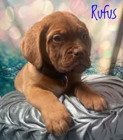 processed/b31dc5c3-e11a-43a0-b760-74c983a01e98/listing/9cdf81e9-dddc-48f6-a5e9-b48a0d72cd90/88bfdc41-631a-445f-ae88-bb2f446e6b0e