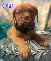 processed/b31dc5c3-e11a-43a0-b760-74c983a01e98/listing/9cdf81e9-dddc-48f6-a5e9-b48a0d72cd90/bc08b554-9040-4bb6-95b8-4fbfdd74d0c6