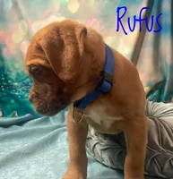 processed/b31dc5c3-e11a-43a0-b760-74c983a01e98/listing/9cdf81e9-dddc-48f6-a5e9-b48a0d72cd90/d6ab68a6-2944-4b2d-9a7f-d8e94f1ae480