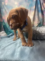 processed/b31dc5c3-e11a-43a0-b760-74c983a01e98/listing/9cdf81e9-dddc-48f6-a5e9-b48a0d72cd90/de8c7ce2-8fb1-4c9f-a8ca-b2b669663c35