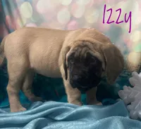 processed/b31dc5c3-e11a-43a0-b760-74c983a01e98/listing/aa2b58b8-4e1f-4d3d-a145-6b10d1a95d72/90c0527f-cd23-4364-a2f3-212f7e34d47b