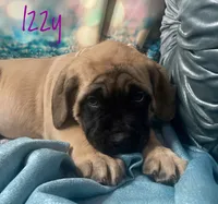 processed/b31dc5c3-e11a-43a0-b760-74c983a01e98/listing/aa2b58b8-4e1f-4d3d-a145-6b10d1a95d72/9abdf263-6754-4019-8cab-124d976e4417