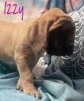 processed/b31dc5c3-e11a-43a0-b760-74c983a01e98/listing/aa2b58b8-4e1f-4d3d-a145-6b10d1a95d72/ee59eba7-b515-4e24-8b4a-d079402b7d73