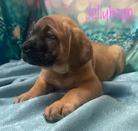 processed/b31dc5c3-e11a-43a0-b760-74c983a01e98/listing/c6fad45e-596c-4922-a622-f8097f046b20/28d94fed-2239-472b-83da-4e03cbbdaa83