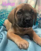 processed/b31dc5c3-e11a-43a0-b760-74c983a01e98/listing/c6fad45e-596c-4922-a622-f8097f046b20/61f5740f-3b22-42b2-ba0a-2791c5c85080