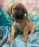 processed/b31dc5c3-e11a-43a0-b760-74c983a01e98/listing/c6fad45e-596c-4922-a622-f8097f046b20/8ddbeabc-3704-472b-a0ca-8f3736411412