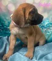 processed/b31dc5c3-e11a-43a0-b760-74c983a01e98/listing/c6fad45e-596c-4922-a622-f8097f046b20/fbfe19ef-4de0-4012-bf7a-544d1c7e91bf