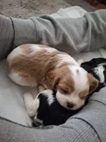 processed/b31f6b3e-a56c-4f19-af5d-a34b738358e4/facility/04040520-d9cb-4318-abc8-6268b7319a53