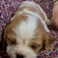 processed/b31f6b3e-a56c-4f19-af5d-a34b738358e4/facility/15483e68-cca5-4acd-a0d0-a01275a1b5db