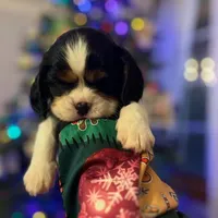 processed/b31f6b3e-a56c-4f19-af5d-a34b738358e4/facility/36fa4ed8-60a0-422a-8be1-ba579c4adc86