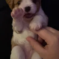 processed/b31f6b3e-a56c-4f19-af5d-a34b738358e4/facility/d2531a49-1a3c-4e1e-b2d2-2b7ed60b8432