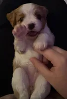 processed/b31f6b3e-a56c-4f19-af5d-a34b738358e4/facility/d2531a49-1a3c-4e1e-b2d2-2b7ed60b8432