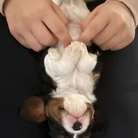 processed/b31f6b3e-a56c-4f19-af5d-a34b738358e4/facility/fa9d50b7-9ed6-4f98-b2d4-528066654247