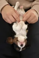 processed/b31f6b3e-a56c-4f19-af5d-a34b738358e4/facility/fa9d50b7-9ed6-4f98-b2d4-528066654247