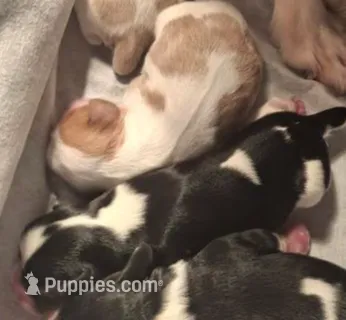 processed/b31f6b3e-a56c-4f19-af5d-a34b738358e4/listing/976fdca0-14c5-4bcb-833a-a3a104511e11/45dcc0ed-0a42-445d-b184-d247a3a8b923