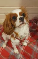 processed/b31f6b3e-a56c-4f19-af5d-a34b738358e4/listing/9a76f746-4b01-426c-8094-1f1d2e85528b/7dd4fc6b-ddb4-4f7c-b6b4-077ffaab6806