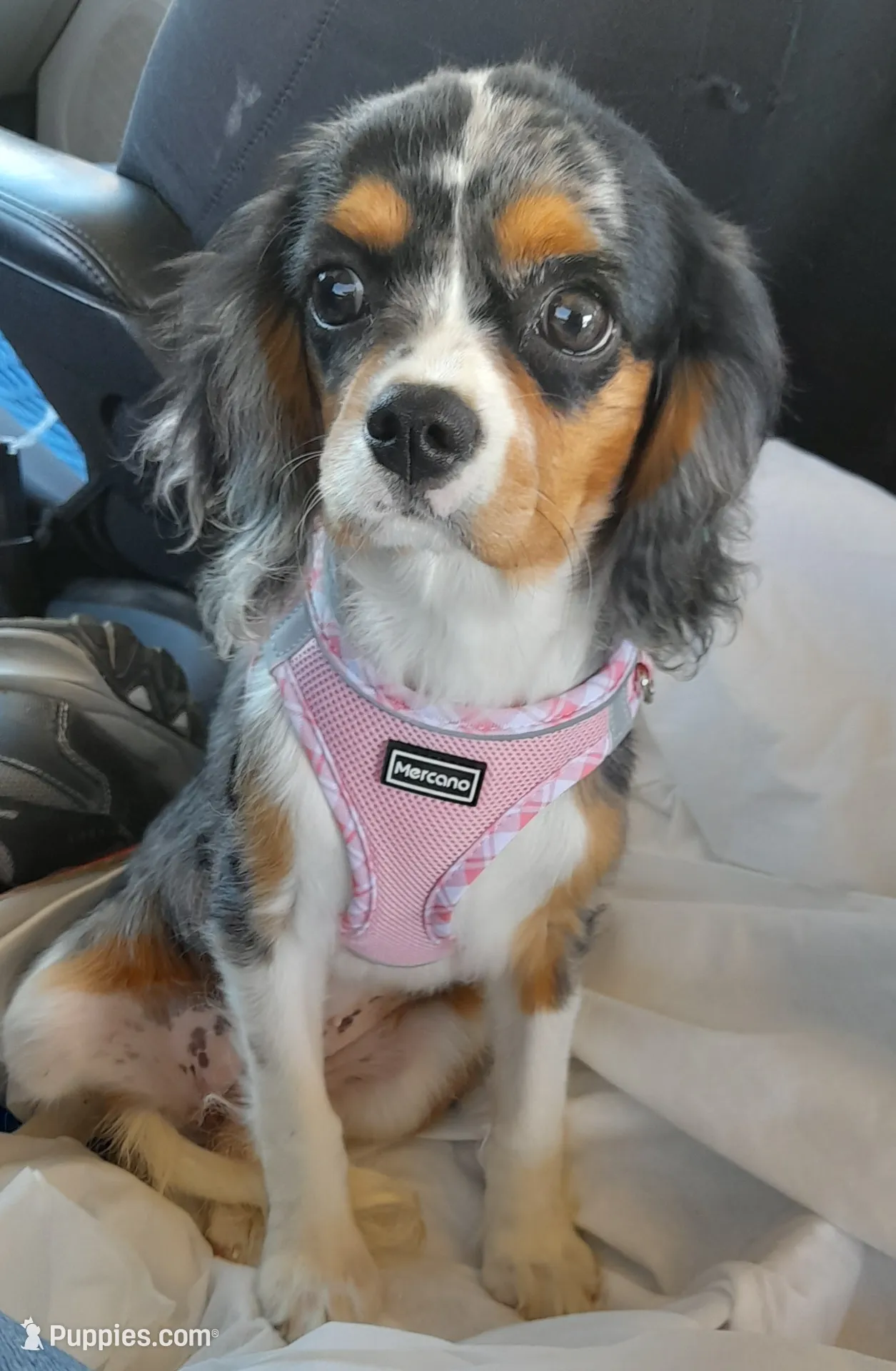 processed/b31f6b3e-a56c-4f19-af5d-a34b738358e4/listing/9a76f746-4b01-426c-8094-1f1d2e85528b/94615aad-3cb7-4944-a008-d846eeb5e1ae