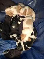 processed/b31f6b3e-a56c-4f19-af5d-a34b738358e4/listing/9a76f746-4b01-426c-8094-1f1d2e85528b/ea9c49fd-13be-4217-9845-e83b613e0d87