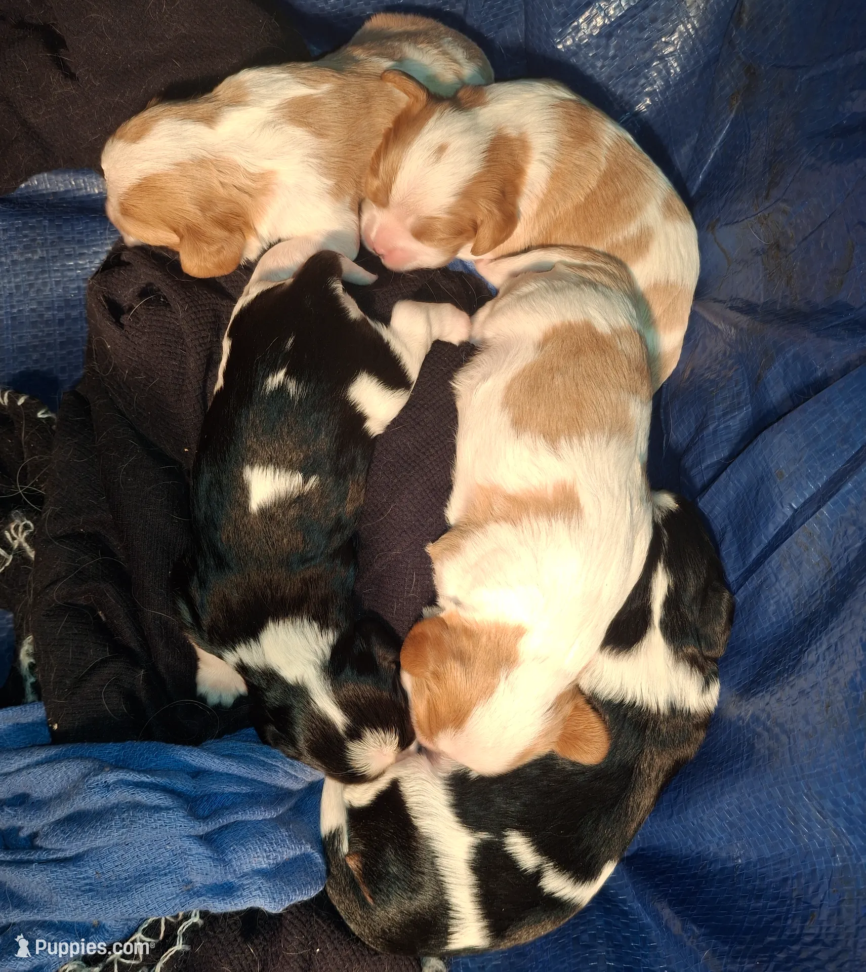 processed/b31f6b3e-a56c-4f19-af5d-a34b738358e4/listing/e990f57f-a2da-4549-ac6d-786c1f98d805/79d07f0c-8056-4427-a2b0-383387a7b266