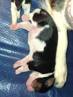 processed/b31f6b3e-a56c-4f19-af5d-a34b738358e4/listing/e990f57f-a2da-4549-ac6d-786c1f98d805/9224cb38-9949-478c-b003-2f10fba481c1